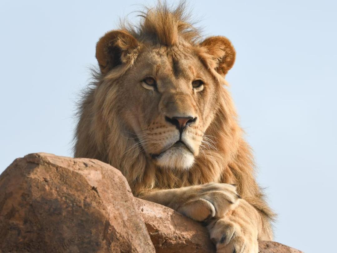 Lions View Accommodation Mbombela ภายนอก รูปภาพ